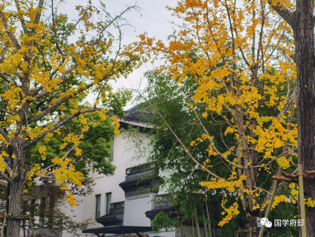 Classic Quotes from the Huangdi Neijing: Wisdom for Health Preservation