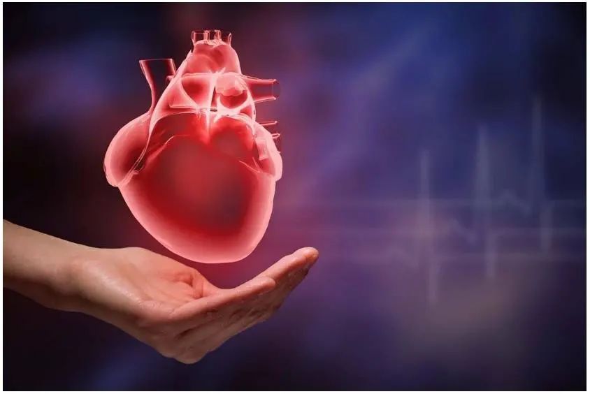 Understanding the 'Five Organs' in Traditional Chinese Medicine: Their Roles and Interconnections
