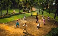 Comprehensive Knowledge of Tai Chi: A Valuable Resource!