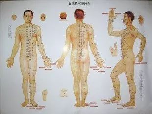 The Most Comprehensive Atlas of Acupuncture Points and Their Effects!