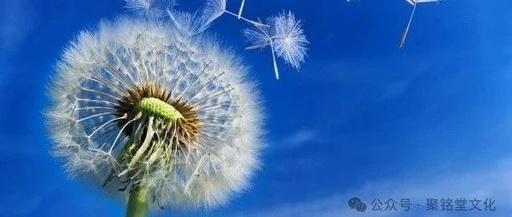 Unlocking the Secrets of Life through the Four Pillars and Eight Characters: The Ultimate Breakdown from the Interactions of the Five Elements to the Trajectory of Destiny