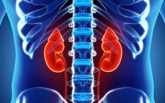 What Are the Symptoms of Kidney Yang Deficiency? Which Chinese Patent Medicines Can Alleviate Kidney Yang Deficiency?