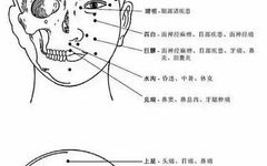 Comprehensive Human Acupuncture Point Chart and Their Functions (A Must-Collect)