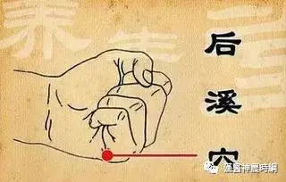 The Extraordinary Eight Meridians in Traditional Chinese Medicine