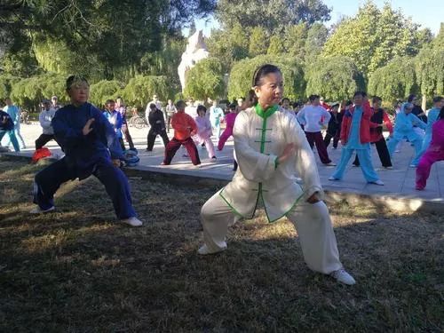 Six Key Points to Accurately Understand the Learning Process and Methods of Tai Chi