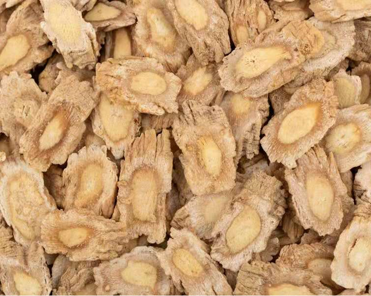 Codonopsis: A Comprehensive Overview