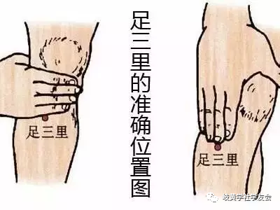Understanding Dampness in Traditional Chinese Medicine: Symptoms, Effects, and Remedies