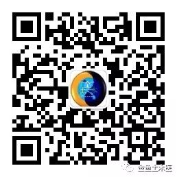 Daily Herb: Chuan Xiong (Ligusticum Chuanxiong)