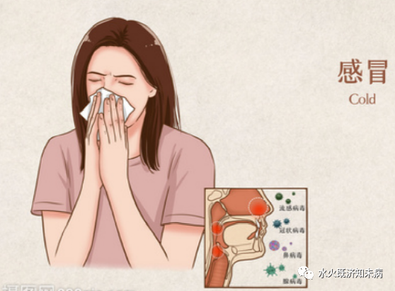 Principles of Treatment for Exogenous Pathogens