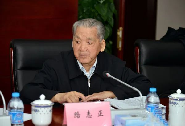 Master Lu Zhizheng: Treating Colds with a Comprehensive Approach