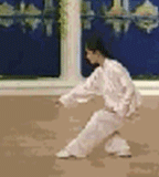 Comprehensive Guide to Tai Chi Movements: Exercise at Home!
