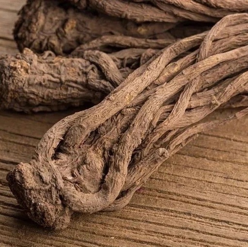 Discussing the Sacred Herb for Women's Health: Angelica Sinensis