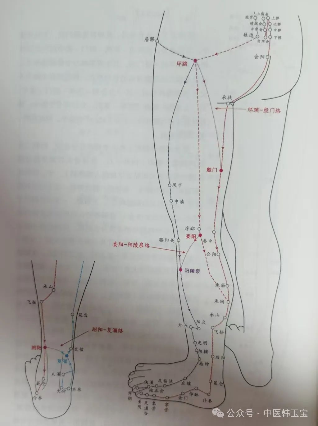 Meridian Studies I: Wu Men Meridian and Tai Yang Meridian