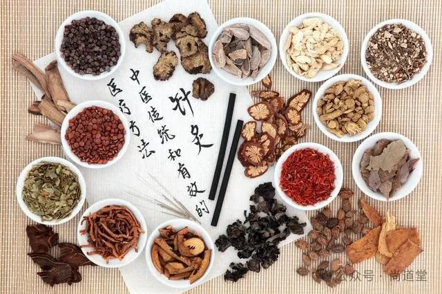The Path of Traditional Chinese Medicine