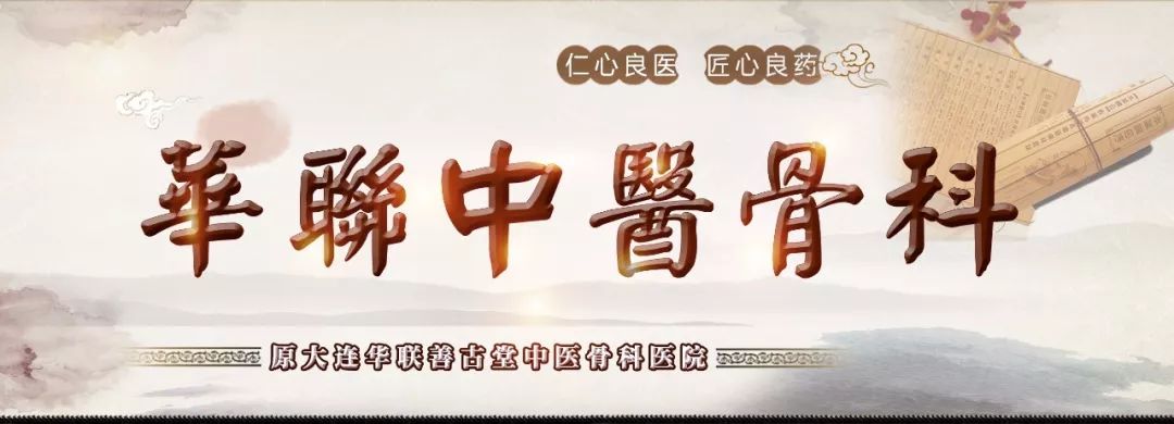 The Story of Cang Zhu (Atractylodes) and Its Medicinal Significance
