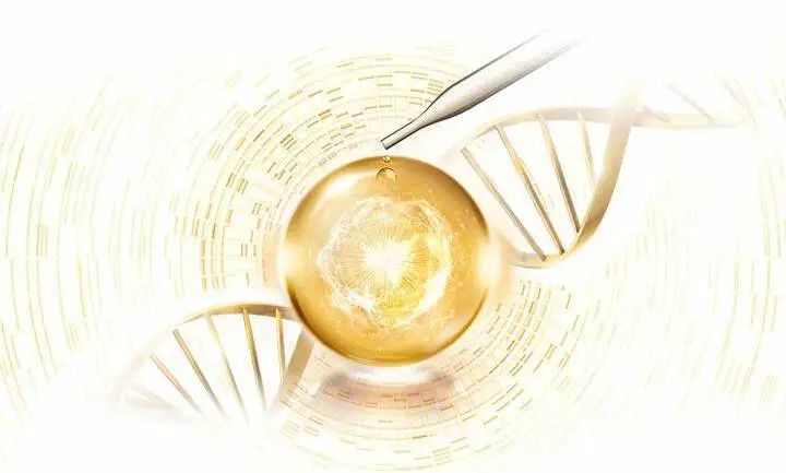 Traditional Chinese Medicine Insights: Improving Blood Stasis in Women