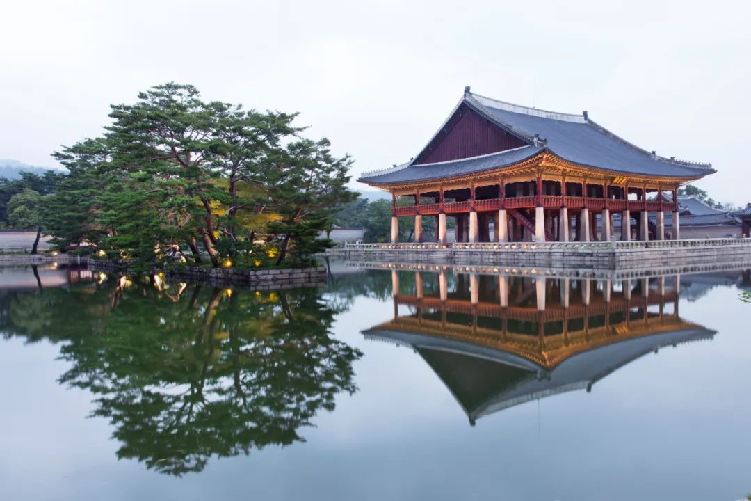 The Power of the Five Elements in Traditional Chinese Medicine