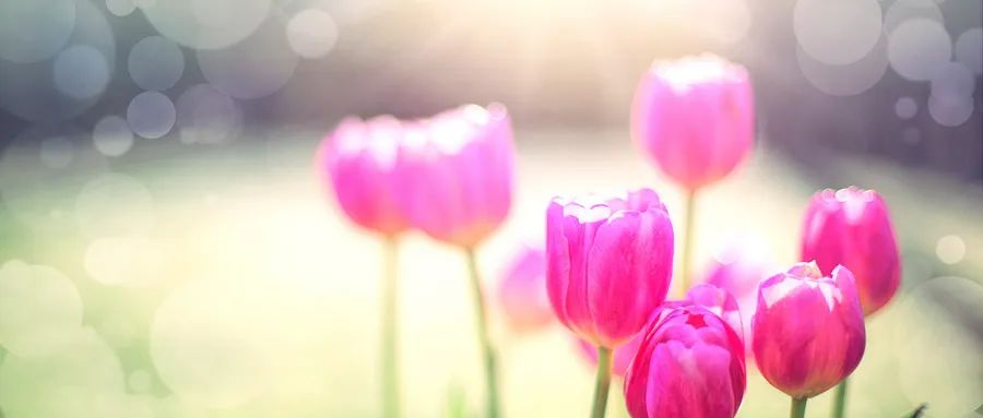 Xinglin Daily | Summer Spleen and Stomach Vulnerability! Three Common Causes of Spleen Qi Deficiency to Avoid
