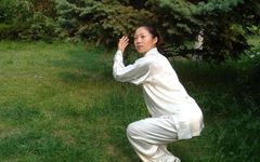 Classification, Reactions, and Potential Issues of Qigong (Essential for Qigong Enthusiasts)