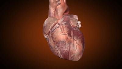 Self-Assessment of Blood Stasis Constitution: Not Only Must Blood Stasis Be Activated and Resolved, But Qi Must Also Be Nourished
