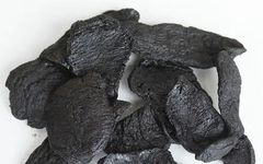 A Comprehensive Overview of Shudi Huang (Rehmannia Glutinosa)