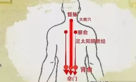 Gua Sha for All Ailments: The Importance of Correct Technique!