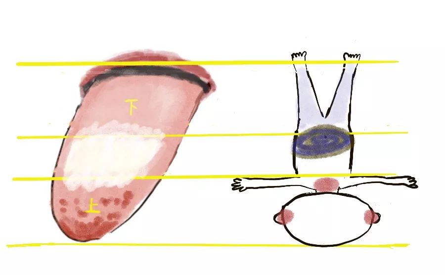 What is Tongue Coating?