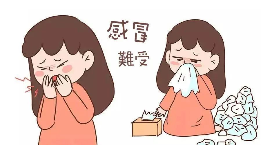Luo Dalun: It is Incorrect to Classify Colds as Wind-Cold or Wind-Heat