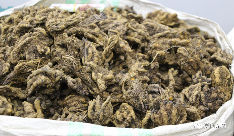 Discussion on Clearing Heat and Drying Dampness: Purging Fire and Detoxifying
