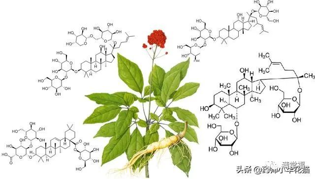 Transformation of Kidney Yin Deficiency and Kidney Yang Deficiency into Both Kidney Yin and Yang Deficiency: Symptoms and 15 Commonly Used TCM Formulas