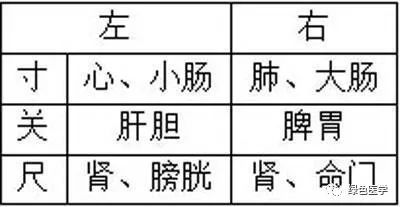 Summary of Pulse Diagnosis in Traditional Chinese Medicine