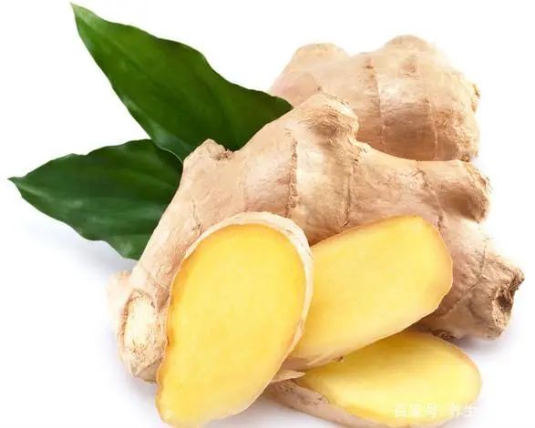 The Efficacy of Dried Ginger is Several Times Stronger than Fresh Ginger! What You May Not Know