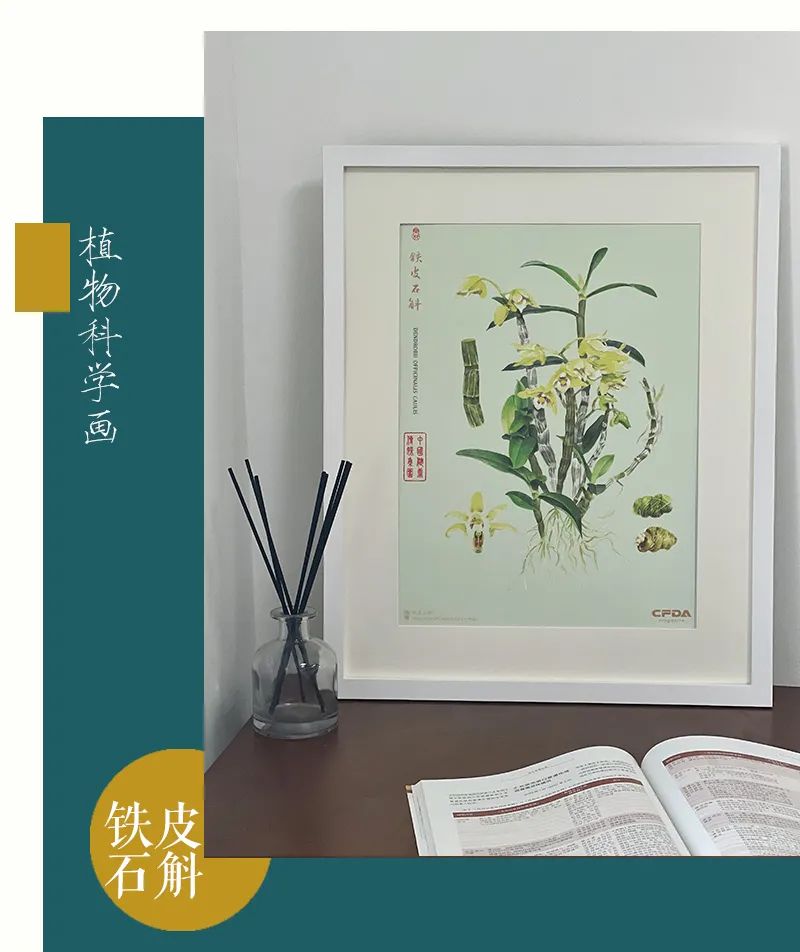 The Synergy of Food and Medicine: Strengthening the Spleen and Nourishing the Lungs