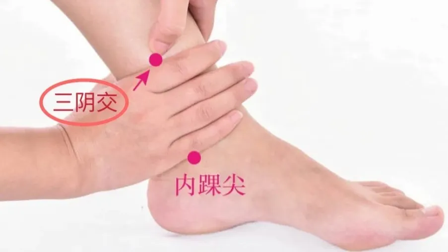 Understanding the Two Methods of Moxibustion: Tonification and Sedation