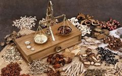 Understanding Chinese Herbal Decoctions: What You Should Know