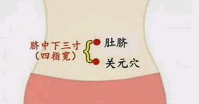 The Fastest Method to Boost Immunity: A Single Chinese Herb to Tonify Lung Qi, Spleen Qi, and Kidney Qi!