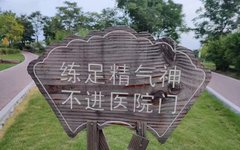Notes on Daoyin Techniques (Text Version)