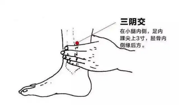 Traditional Chinese Medicine for Health Preservation