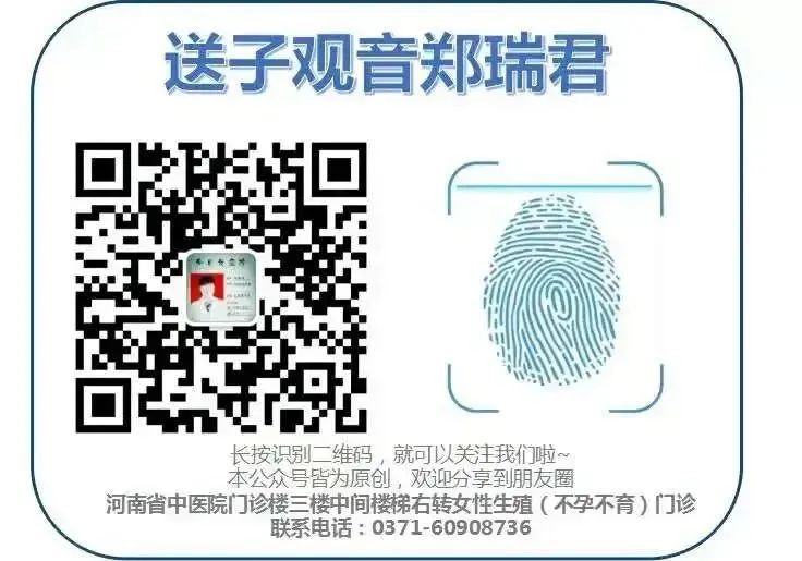 Chuan Xiong (Ligusticum Chuanxiong) - A Comprehensive Overview