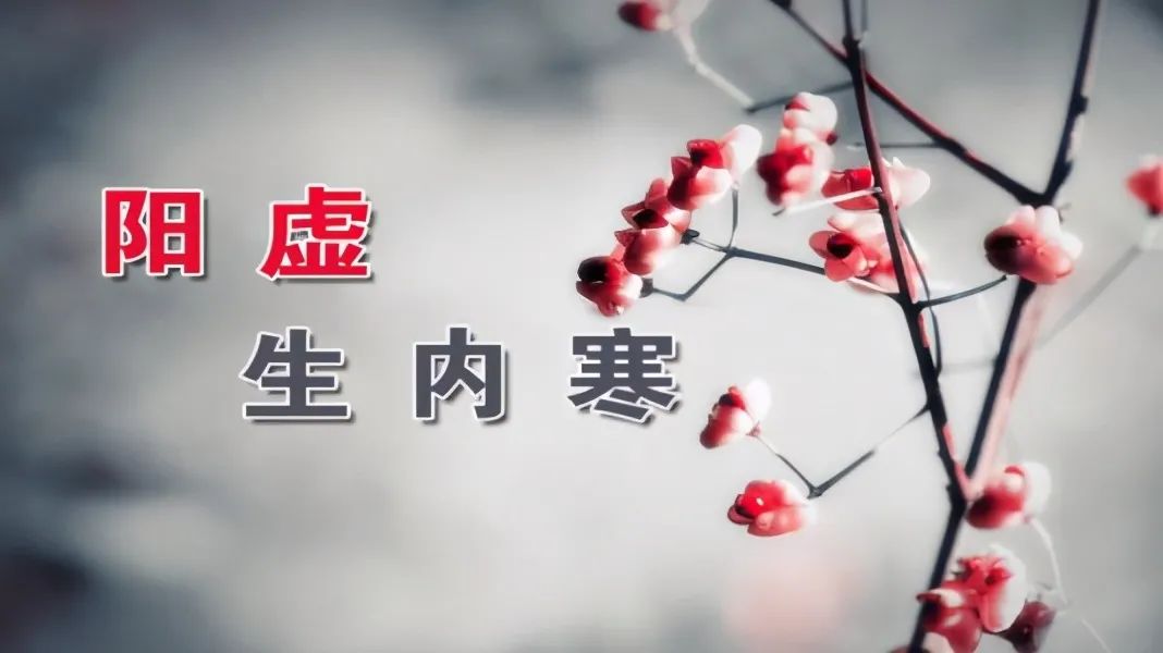 Traditional Chinese Medicine: Strengthening the Spleen and Stomach for Individuals with Yang Deficiency