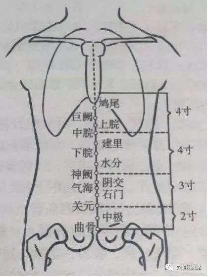 Guiding One Acupuncture Point for Deep Body Regulation