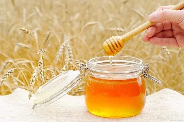 What Foods are Good for Yin Deficiency Constitution? Five Excellent Choices