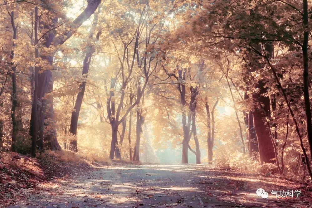Exploring the Historical Development of Qigong (Part One) | The Era of Primitive Qigong
