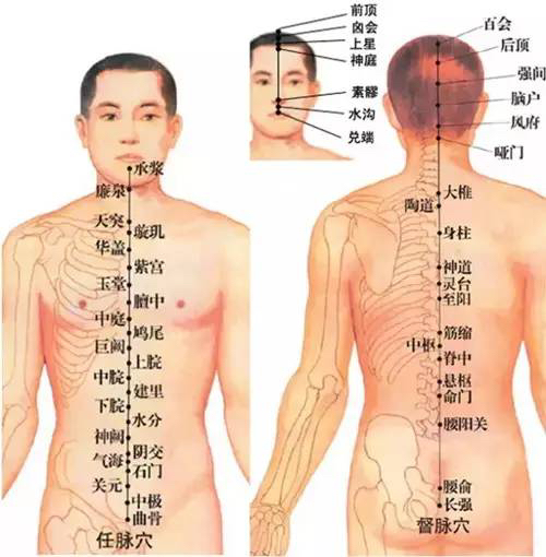 Understanding TCM Constitution: Qi Deficiency Type