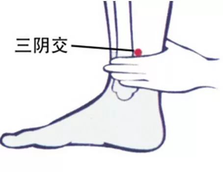 Health Maintenance Methods for Yin Deficiency Constitution