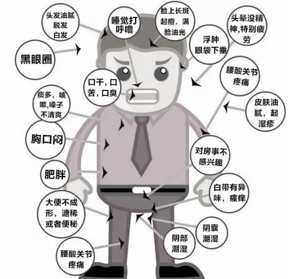 Phlegm-Dampness in Traditional Chinese Medicine
