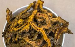 Weekly Study of Traditional Chinese Medicine: Huang Lian (Coptis)
