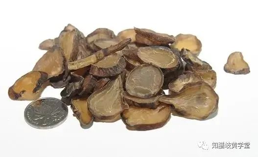 A Comprehensive Study on Fuzi (Aconite)