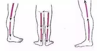 Specific Gua Sha Techniques for the Whole Body: Please Remember!