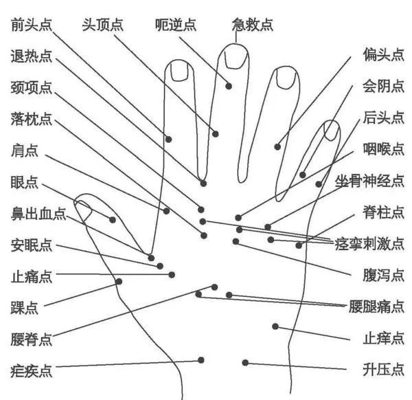 Comprehensive Guide to Holographic Diagnosis in Traditional Chinese Medicine